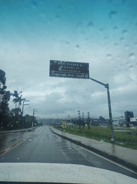 Pet And You Pet And You