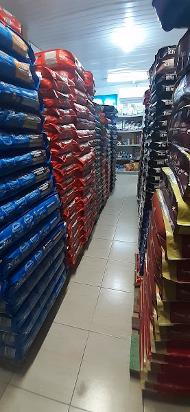 Foto 1 Bichos da Lagoa