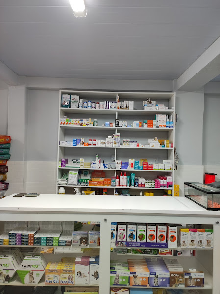 Foto 2 Monte Cristo VET & PET