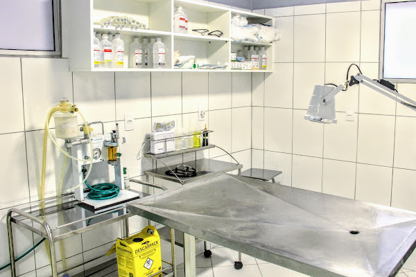 Foto 2 Bicholicos Clínica Veterinária