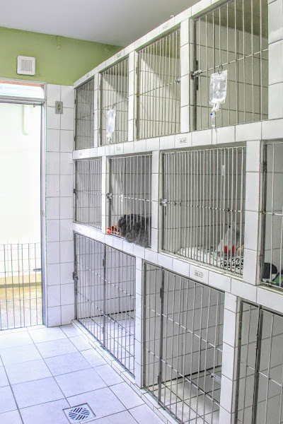 Foto 3 Bicholicos Clínica Veterinária