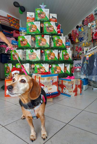 Foto 3 Med Cão Clínica Veterinária