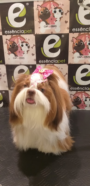 Capoeiras Pet Shop - banho e tosa