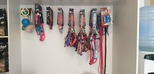 Foto 2 Capoeiras Pet Shop - banho e tosa