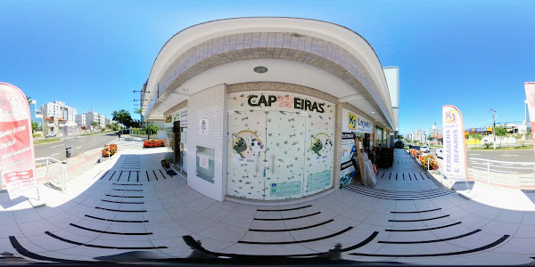 Foto 3 Capoeiras Pet Shop - banho e tosa