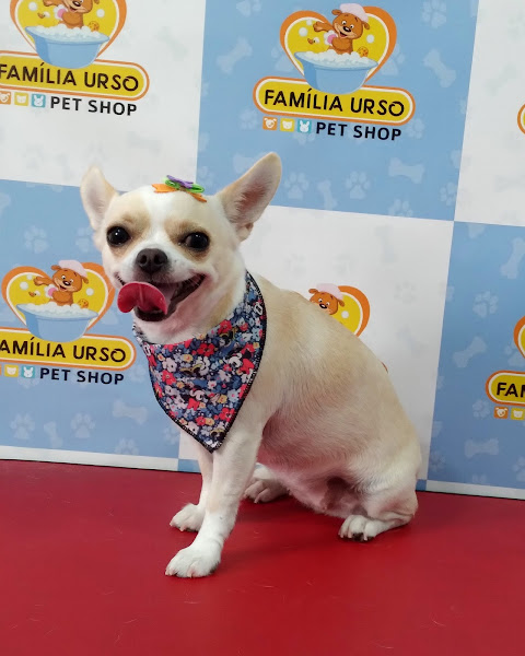 Foto 2 PET SHOP FAMÍLIA URSO