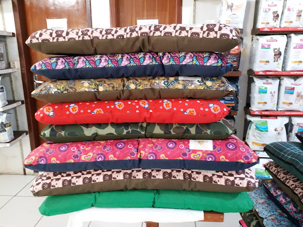 Foto 1 Clínica Veterinaria Ingleses