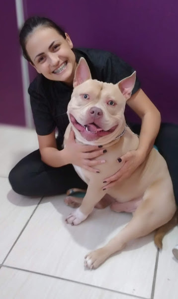 Foto 1 Pet Glee by Ana Pet Shop - Banho e Tosa/Escola