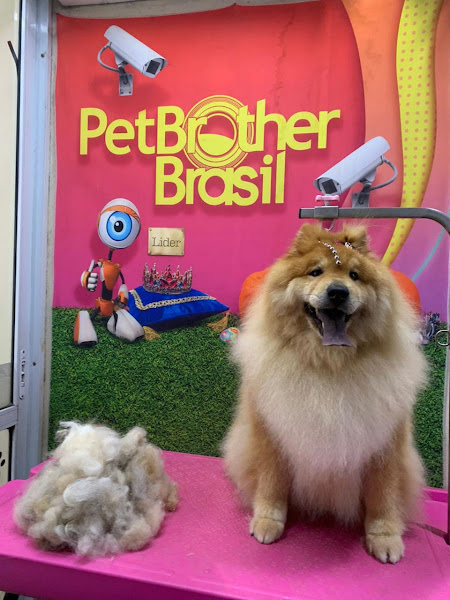 Foto 2 Pet Shop Peludinho