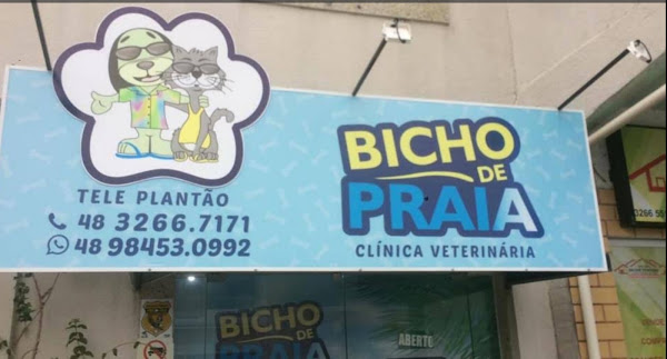 Bicho de Praia