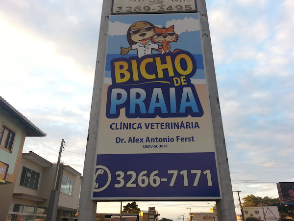 Foto 2 Bicho de Praia