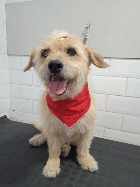 Foto 1 Ilha dos Bichos