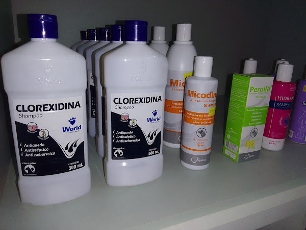 Foto 3 Ilha dos Bichos