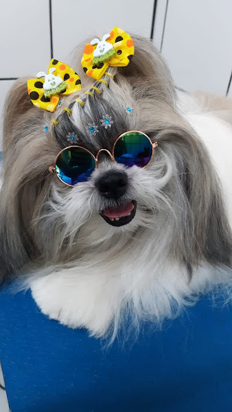 Quatro Patas Clínica Veterinária