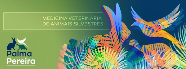 Foto 5 Palma Pereira Clínica Veterinária Foto 5 Palma Pereira Clínica Veterinária