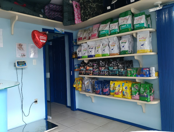 Foto 3 Veterinária Saude Animal Floripa