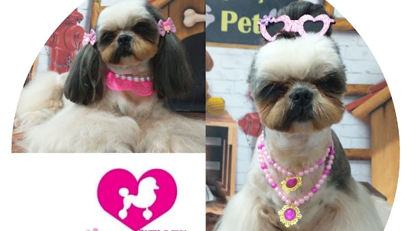 Baby Dog Banho e Tosa