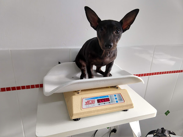 Foto 1 Clínica Biofilia