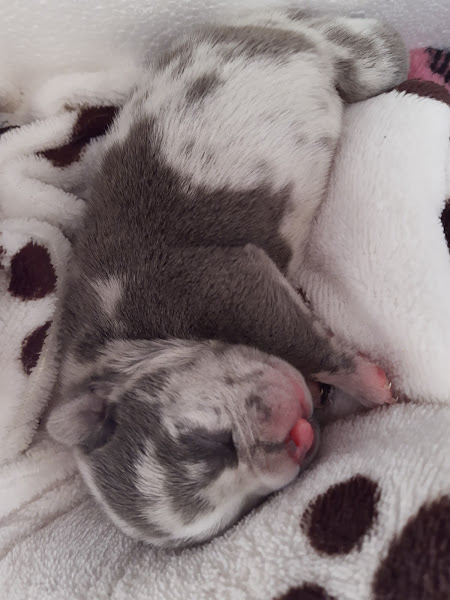 Foto 2 Clínica Biofilia