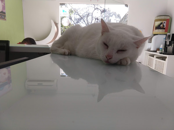 Foto 3 Clínica Biofilia