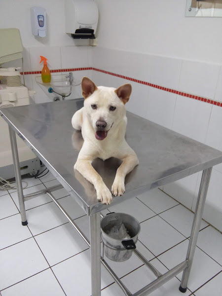 Foto 4 Clínica Biofilia