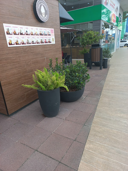 Foto 4 Open Shopping Ingleses