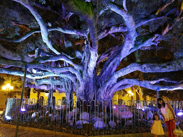 Foto 2 Edifício Parthenon