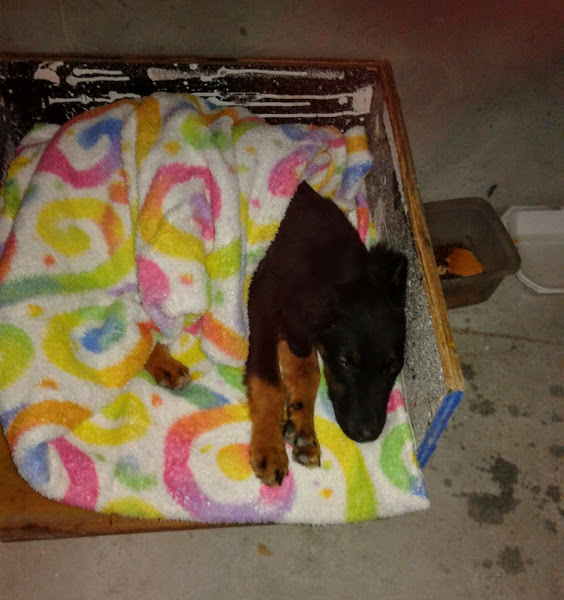 Foto 1 Pit Stop Borracharia RV