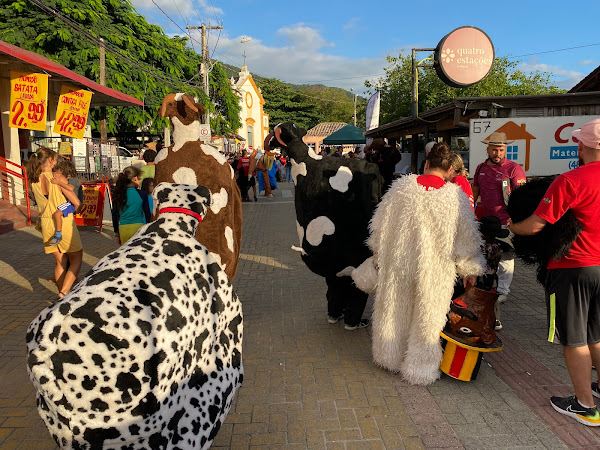 Foto 3 Cordeiro Materiais de Construção Foto 3 Cordeiro Materiais de Construção