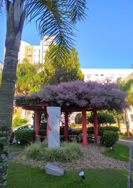 Foto 1 Casa de Saúde São Sebastião