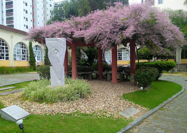 Foto 2 Casa de Saúde São Sebastião