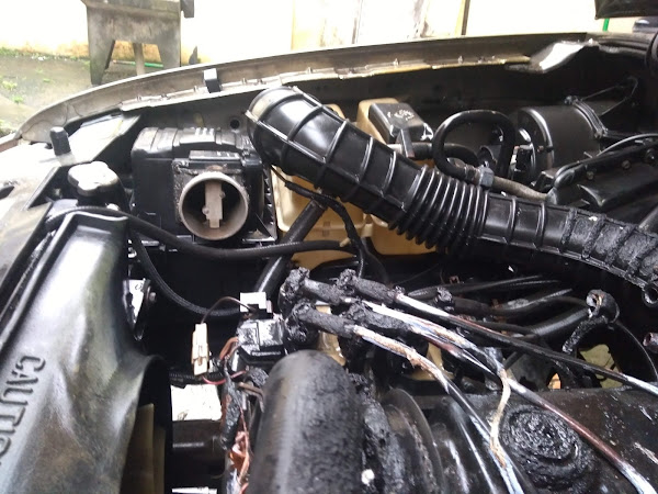 Foto 2 Auto Elétrica Waltrick