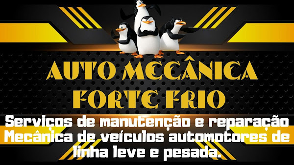 FORTE FRIO AUTO MECANICA