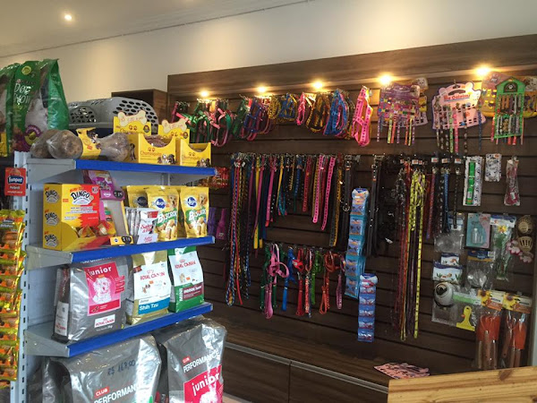 Foto 4 PET SHOP BICHO SAPECA