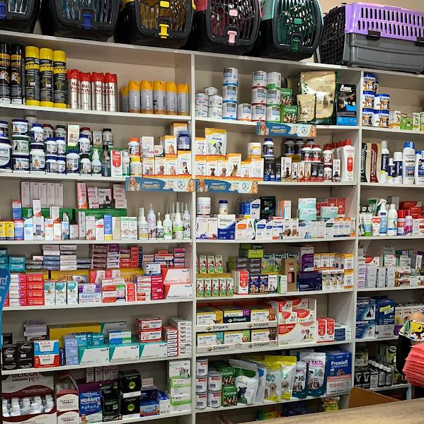 Foto 5 PET SHOP BICHO SAPECA