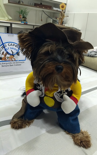 Foto 4 Pet Shop Bicho Capricho