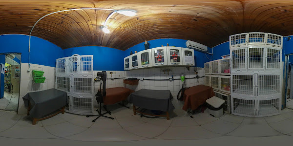 Foto 5 Pet Shop Bicho Capricho