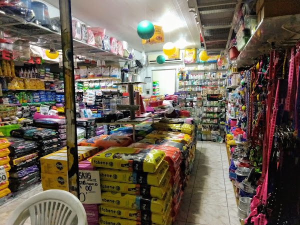 Foto 1 Belo cão Pet Shop