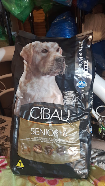 Foto 2 Belo cão Pet Shop