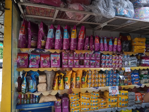 Foto 4 Belo cão Pet Shop