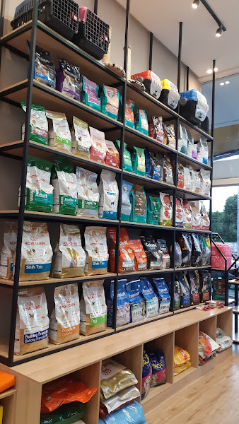 Foto 1 Friends Web Petshop e Banho e Tosa