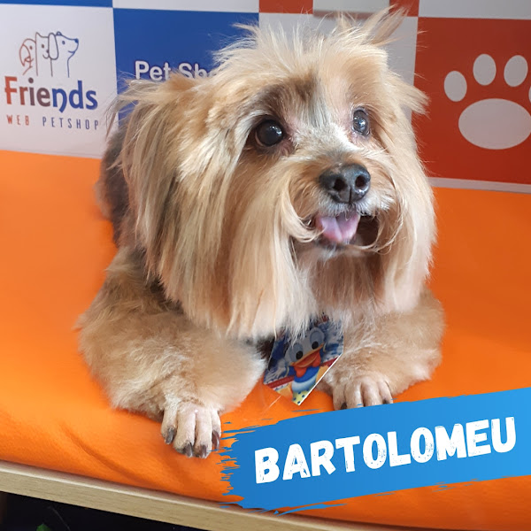 Foto 2 Friends Web Petshop e Banho e Tosa