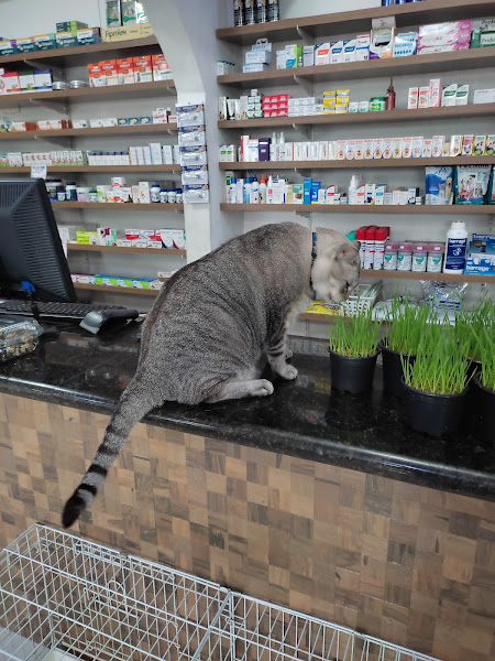 Foto 1 Cazapet Pet Center