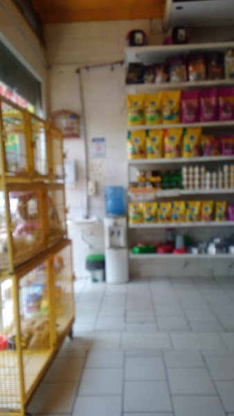 Foto 1 Bicharada Pet Center