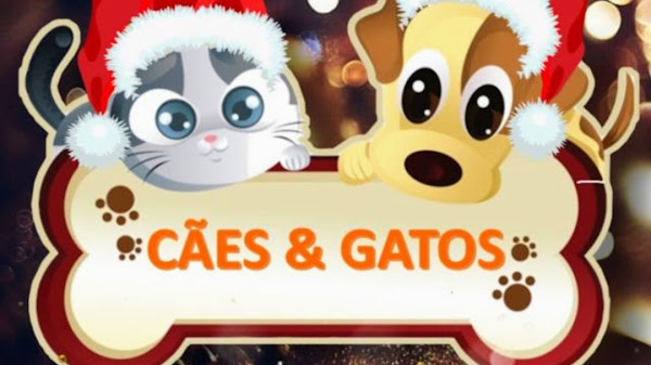 Foto 1 Pet Shop Cães & Gatos