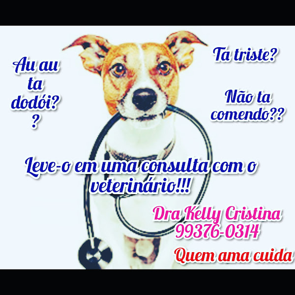 Foto 4 Pet Shop Cães & Gatos