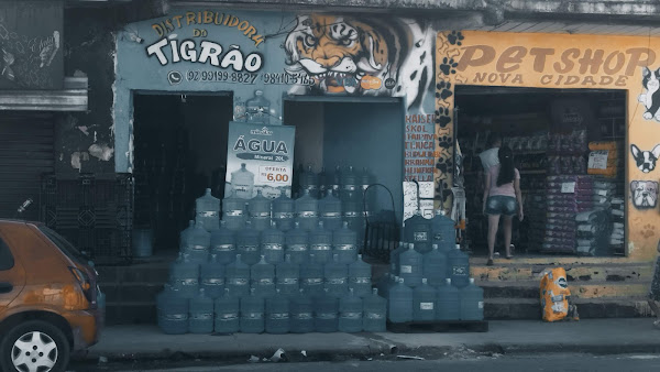 Foto 5 Pet Shop Cães & Gatos