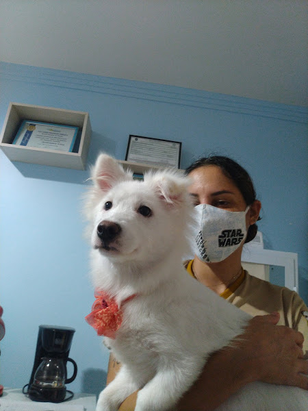 Foto 2 Barao Pet Shop