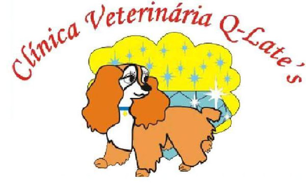 Foto 3 Clinica Veterinária Q Late's