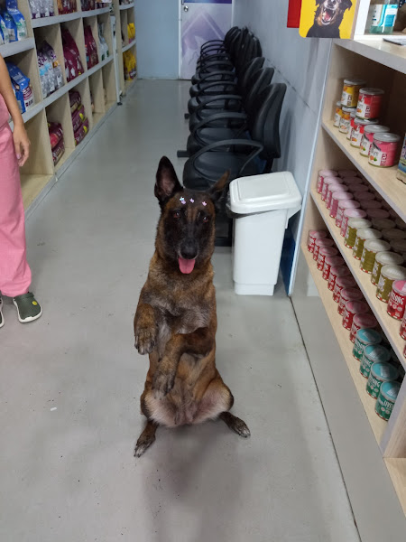 Foto 1 Pet House & Cia